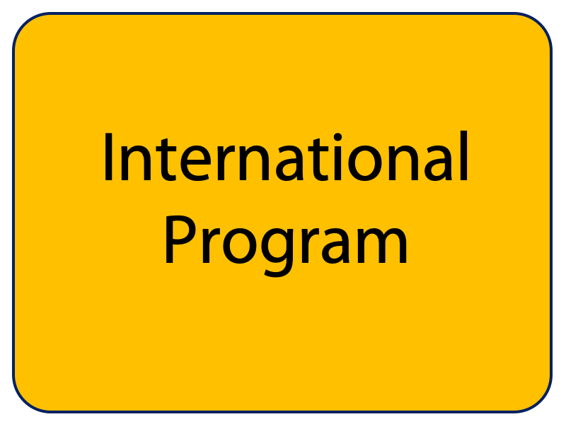 International Program FTI UII